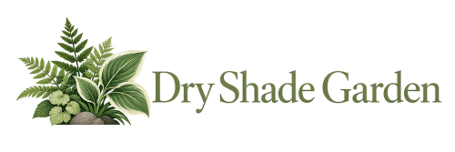 Dry Shade Garden
