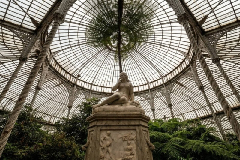 When Victorians Went Crazy for Ferns – Britain’s Strange Obsession