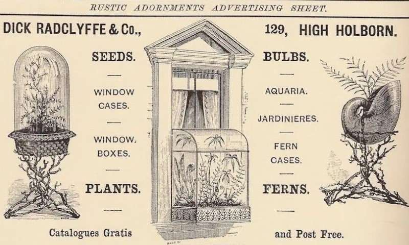 Antique Victorian seed catalog ad featuring ornate glass window cases, ferns, and plants
