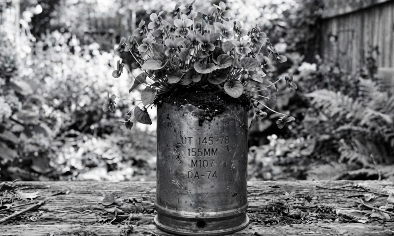 A black-and-white photo shows a rusted metal shell casing used as a flowerpot